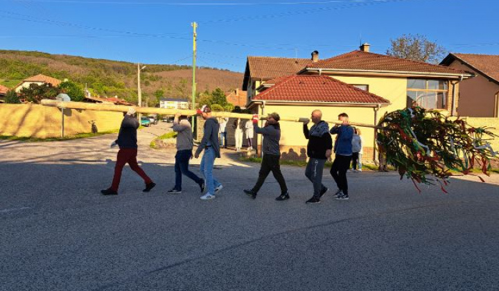 Stavanie mája – nedeľa 30.04. Stavanie mája – nedeľa 30.04.